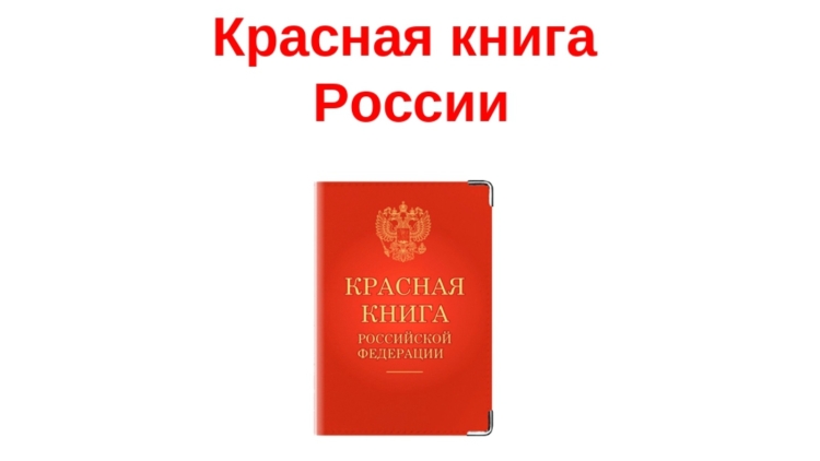 Красная книга России книга