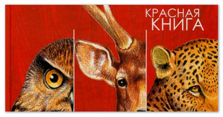 Красная книга животных фон