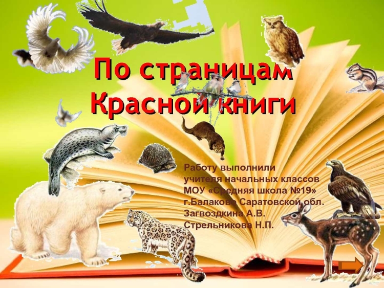 Книги о животных