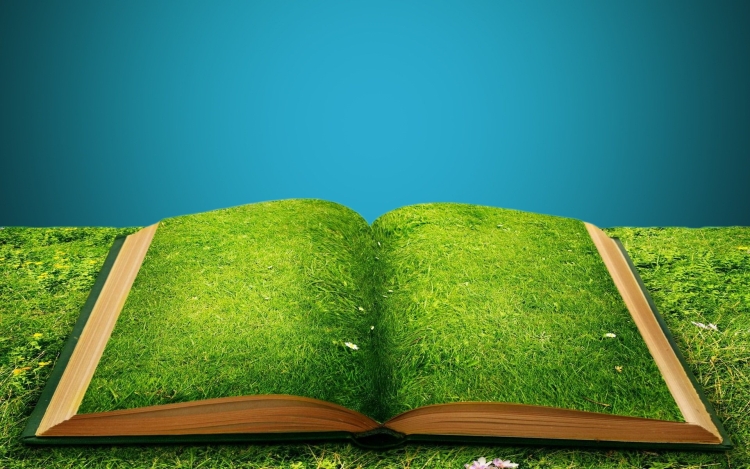 Книжка на траве