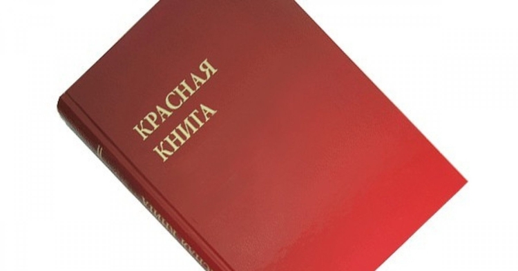 Красная книга фото
