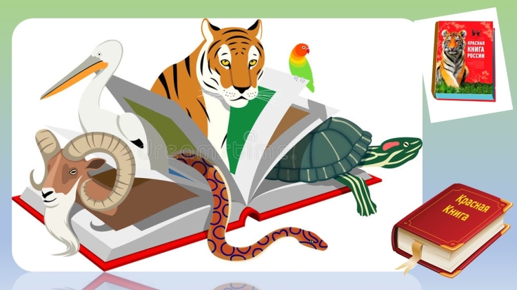 Животные с книгой на прозрачном фоне