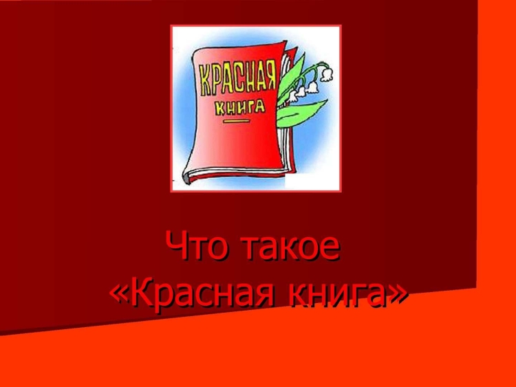 День красной книги