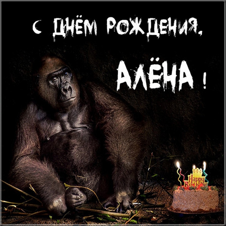 Леха друг с днем рождения