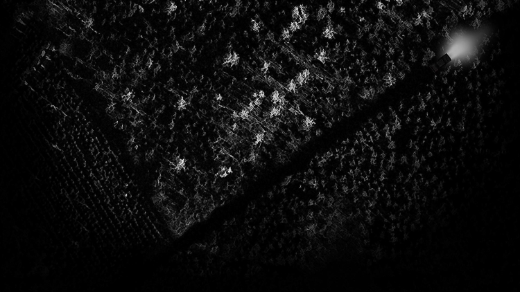 Черный фон в стиме