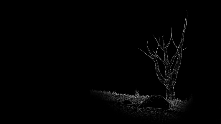Черное дерево фон