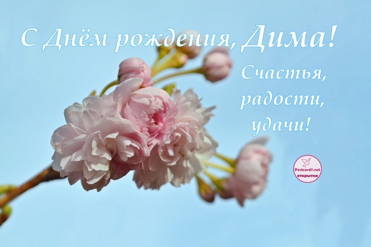 Открытка с днем рождения Лима