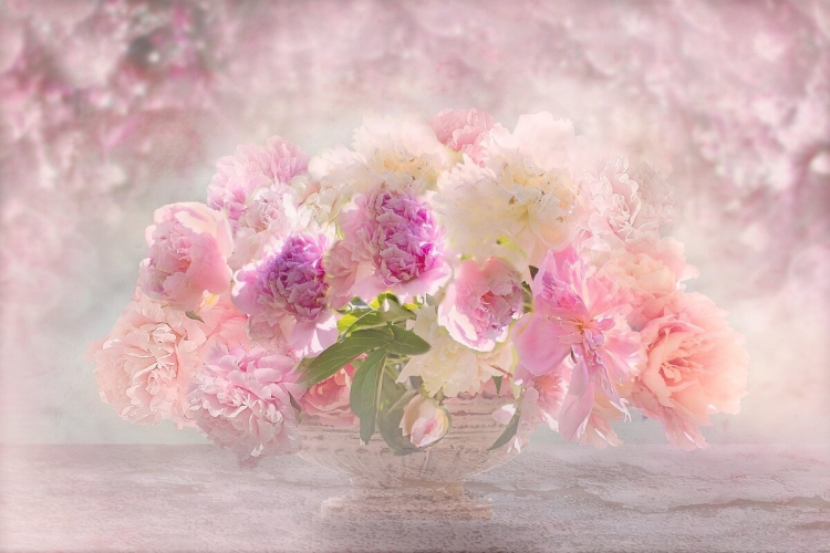 Анечка с днём рождения нежные открытки