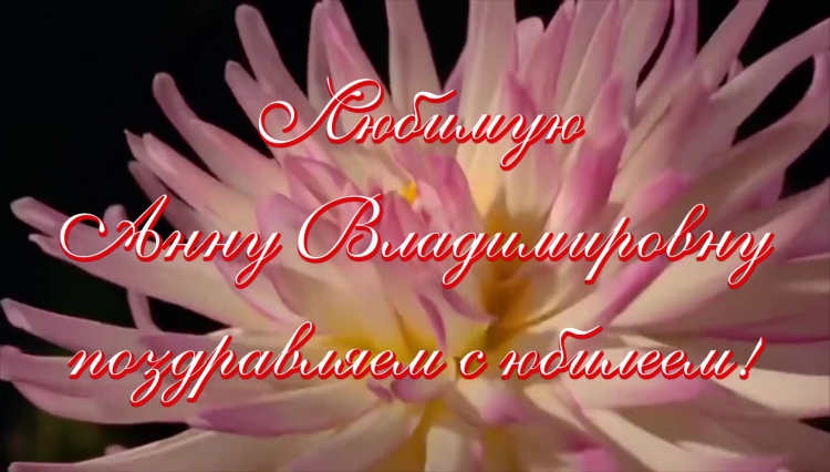 С днём рождения Анна Владимировна