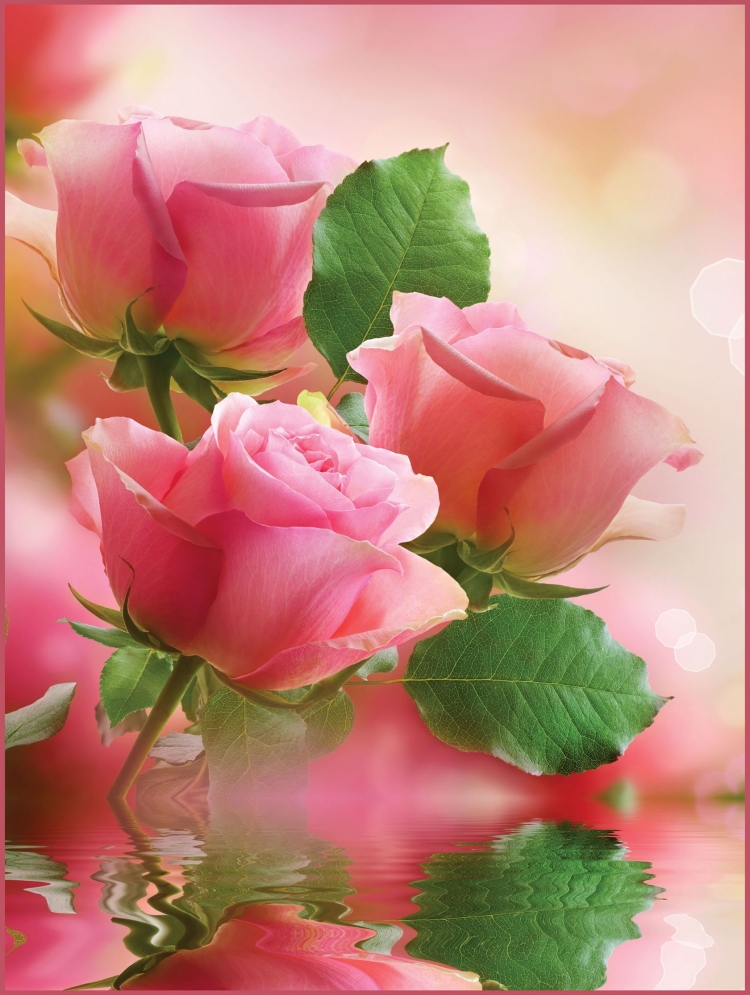 Елена Васильевна с днем рождения