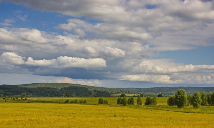 Башкирия степи лесостепи