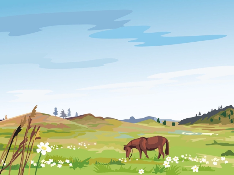 Мультяшная природа