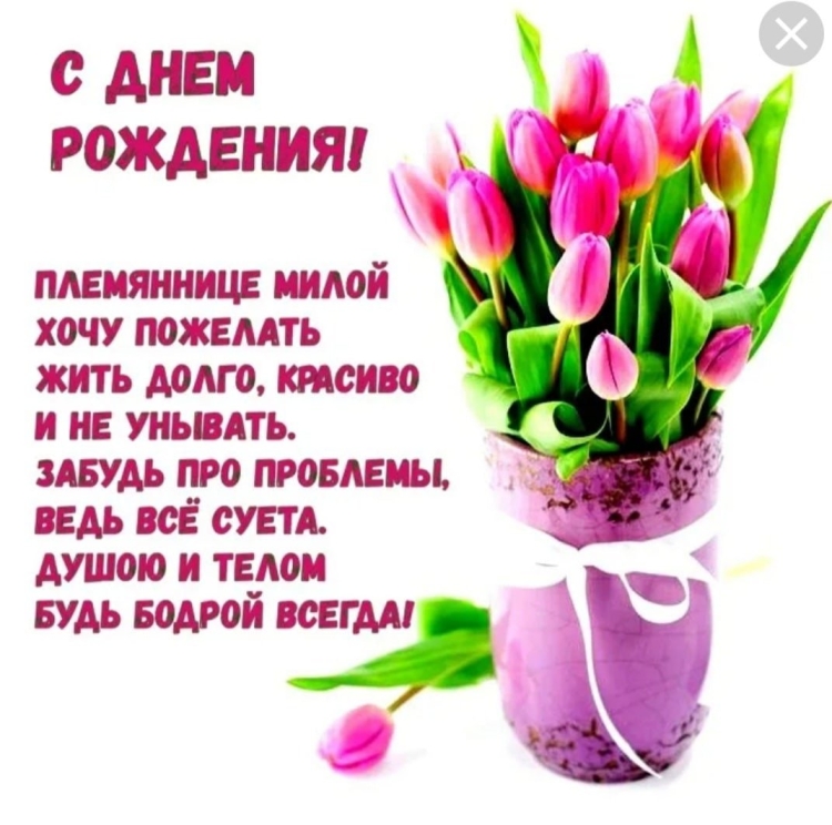 Поздравление с днем рождения племя