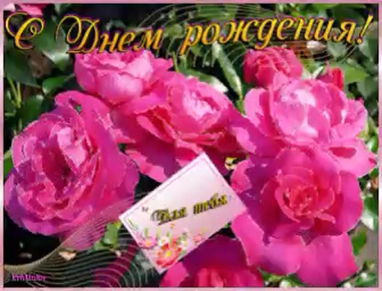 Живые открытки с днём рождения пионы