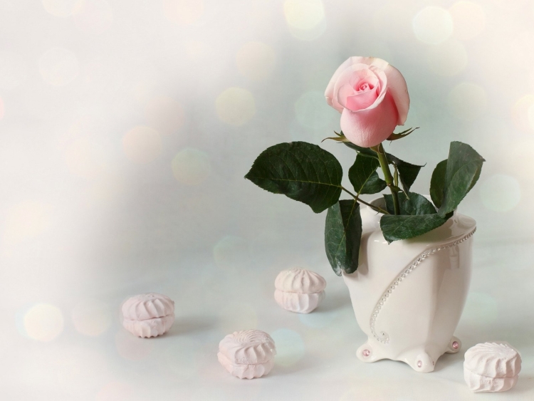 Ксюша с днём рождения поздравления