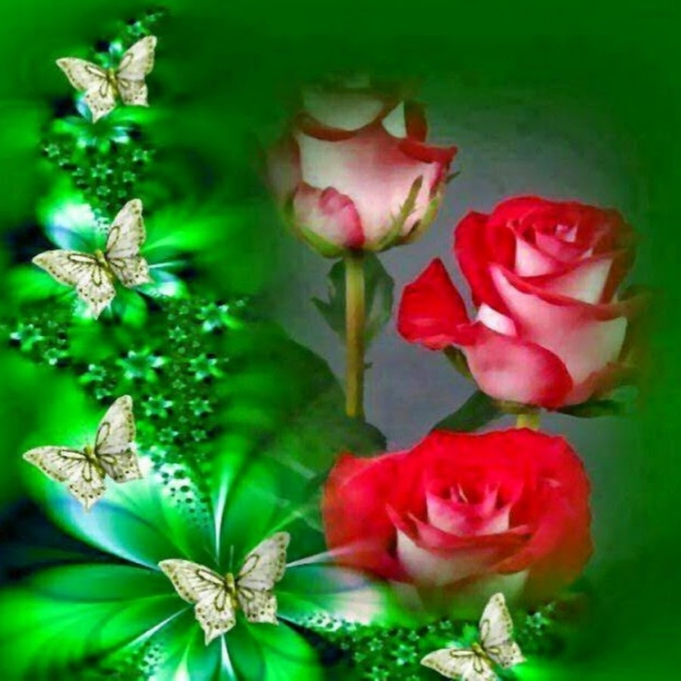 Цветы для Зои