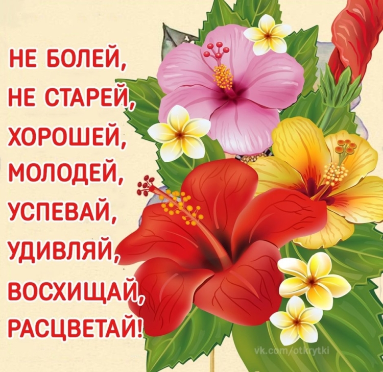 Не болей не старей хорошей