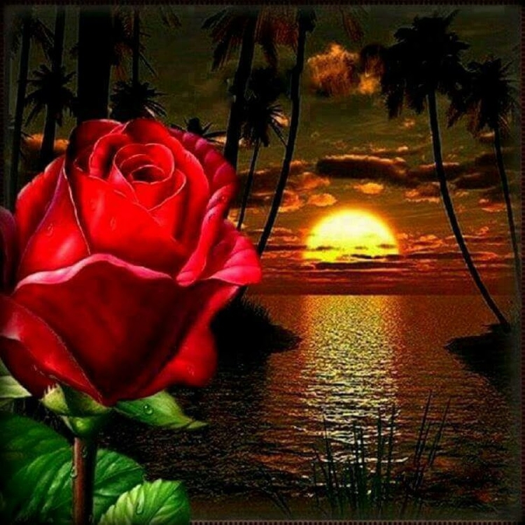 Доброй ночи дорогие друзья