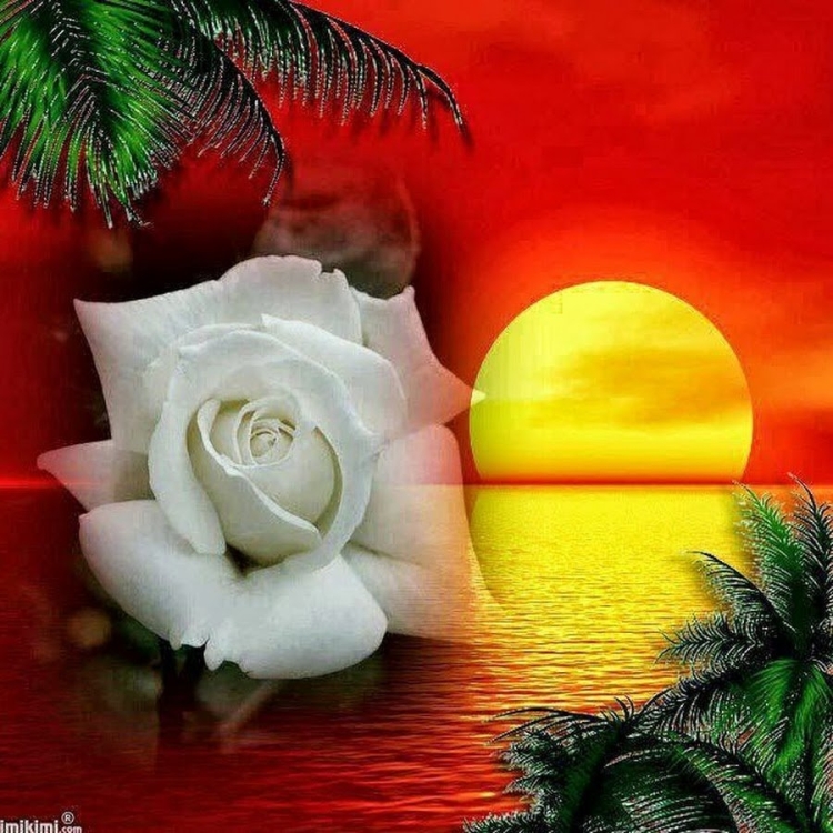 Добрый вечер солнышко