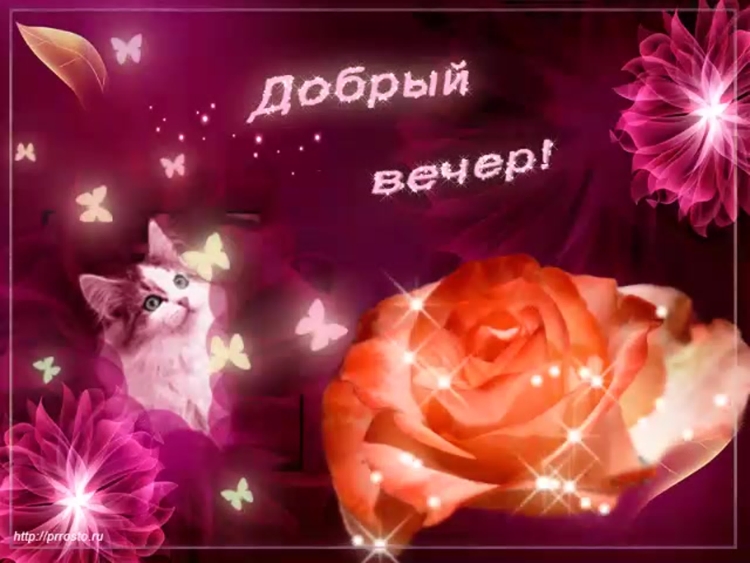 Добрый вечер