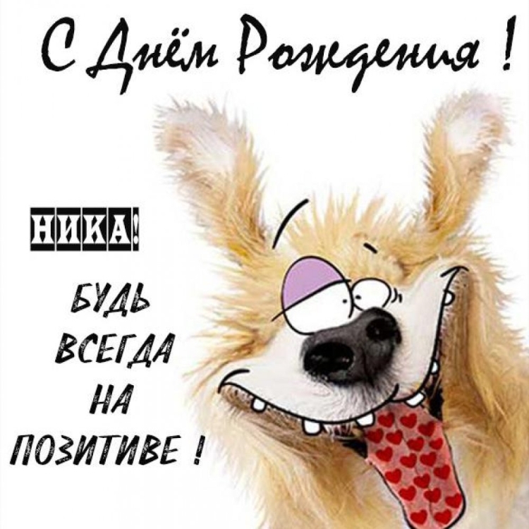 С днём рождения Миша