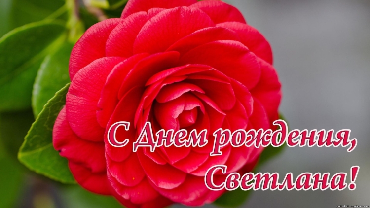 Открытки с днём рождения Светлана