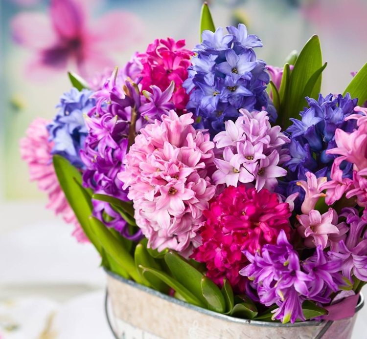 С днём рождения алекмандра