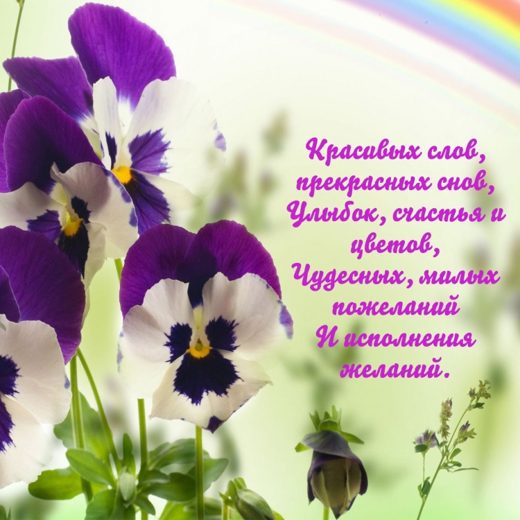 Добрые пожелания женщине