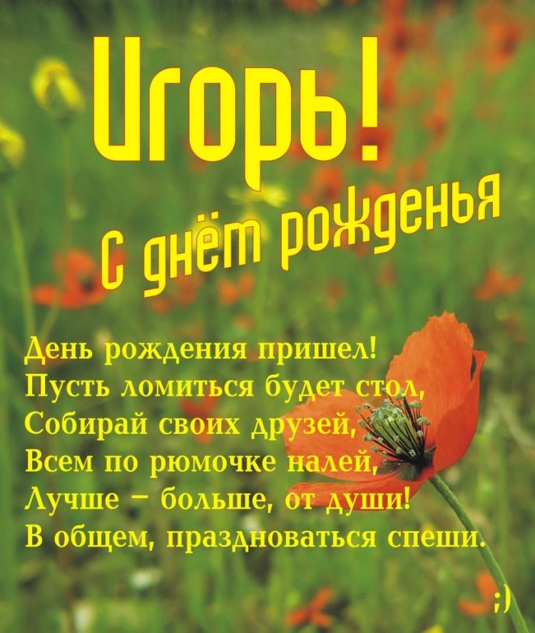 Поздравления с днём рождения Игорю