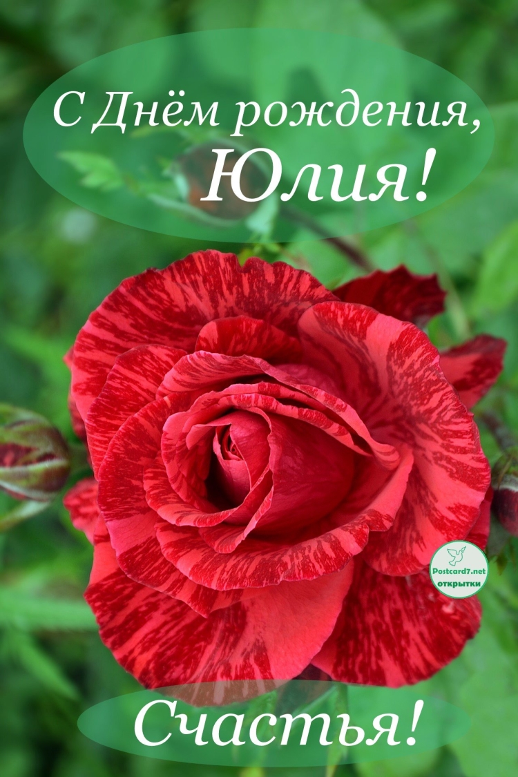 Поздравления с днём рождения Юлм