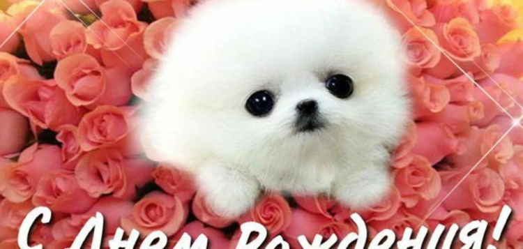 Самую милую и красивую с днем рождения