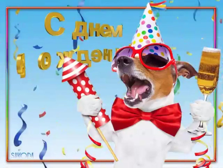 Веселые поздравления с днем рождения