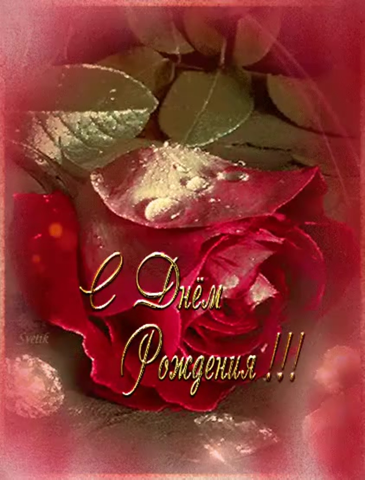 Открытка с днём рождения Аллочка анимационные