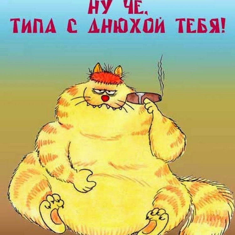 Смешные поздравления с днем рождения