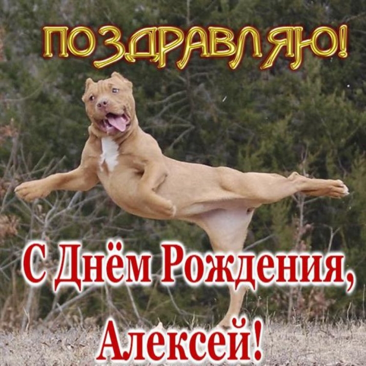 Поздравление п с днем рождения Алексей
