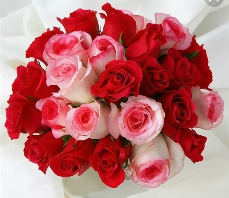 С днём рождения Анастасия