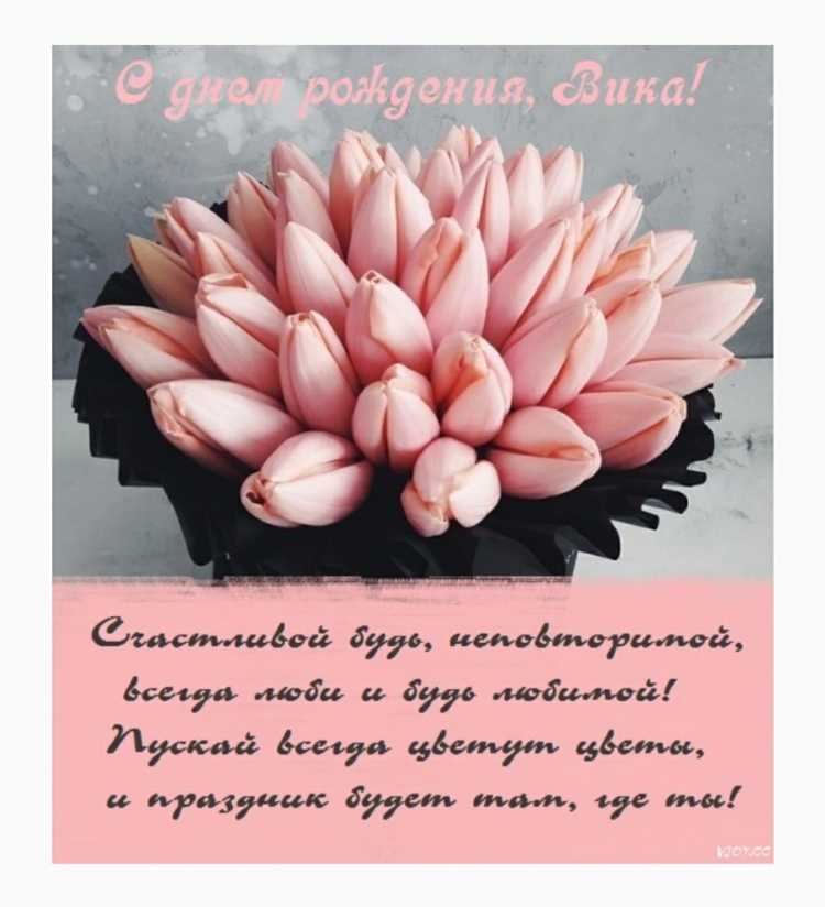 Поздравления с днём рождения Снежаночка