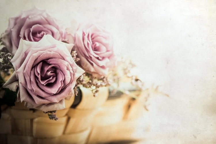 Поздравления с днём рождения девушке