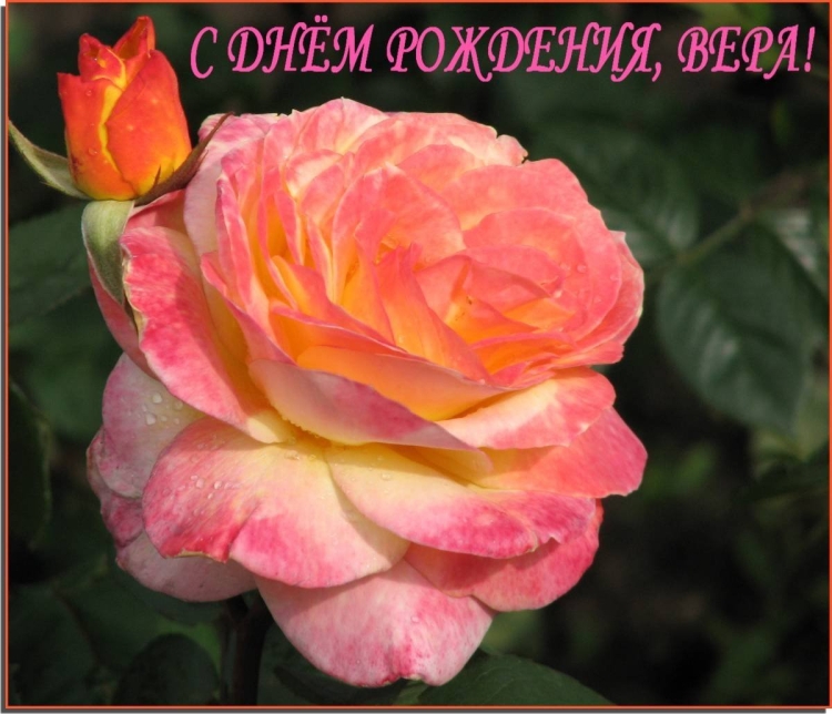 Дорогая Вера с днем рождения