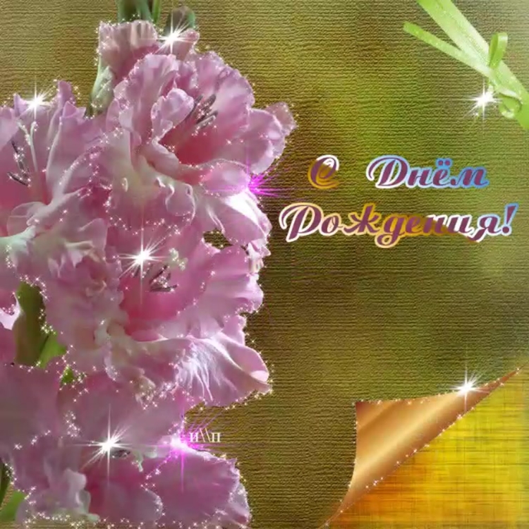 Гладиоусы с лнем рожде