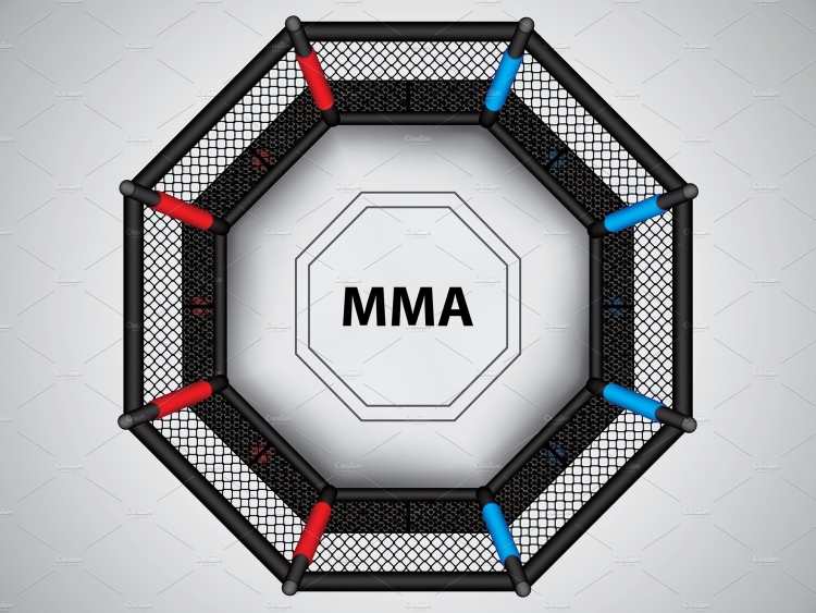 Октагон UFC сетка