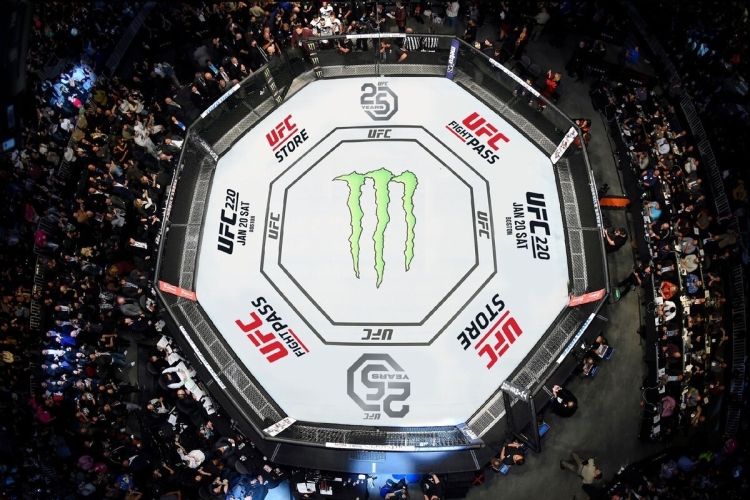 8 Угольник октагон UFC