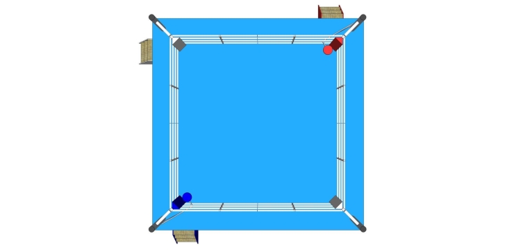 Боксерский ринг Aiba
