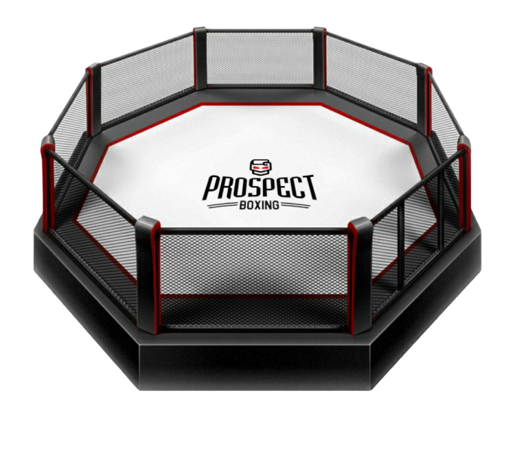 Октагон UFC вектор