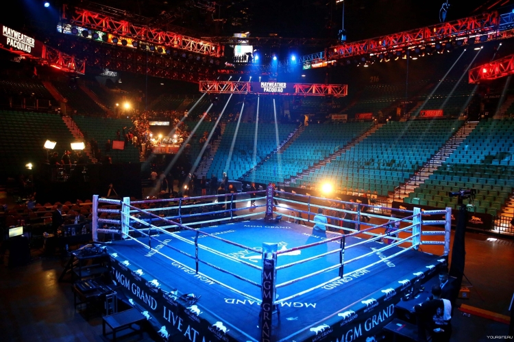 Боксерский ринг MGM Grand