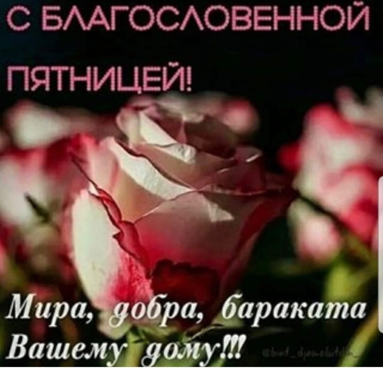 С благословенной пятницей