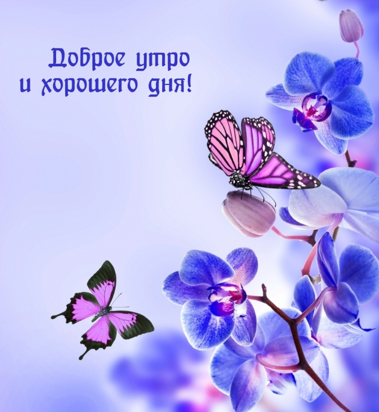 С днём рождения тренеру женщине