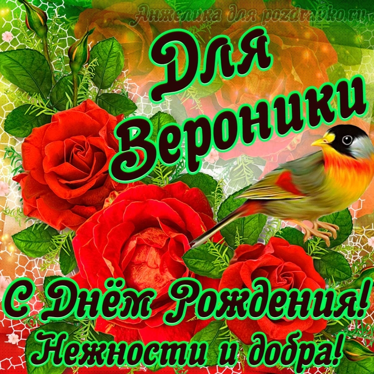 День рождения Алисы