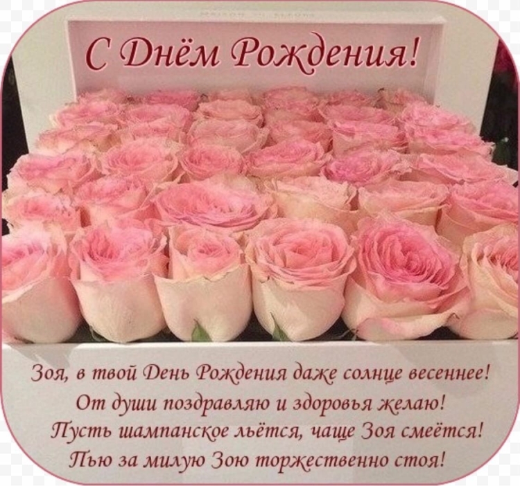 С днем рождения Зоя стихи