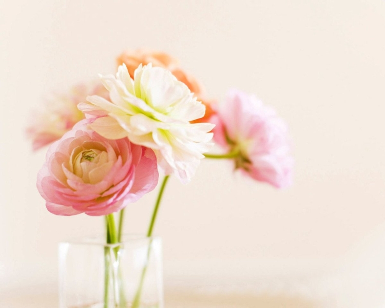 Нежные открытки с днём рождения подруге